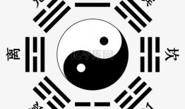 八卦爆料素材下载安装最新版,八卦爆料素材下载安装，最新版功能大盘点