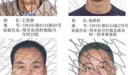 周至县爆料人名单最新,最新动态与背后真相”