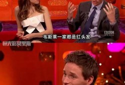 哈利作业最新爆料微博,揭秘神秘任务背后的故事