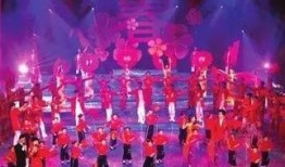 春节爆料视频大全集最新,精彩瞬间回顾，年度盛宴精彩重现