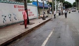 湛江最新市民爆料,市区惊现神秘建筑，引网友热议！